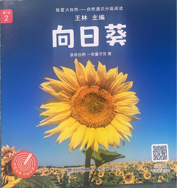 向日葵