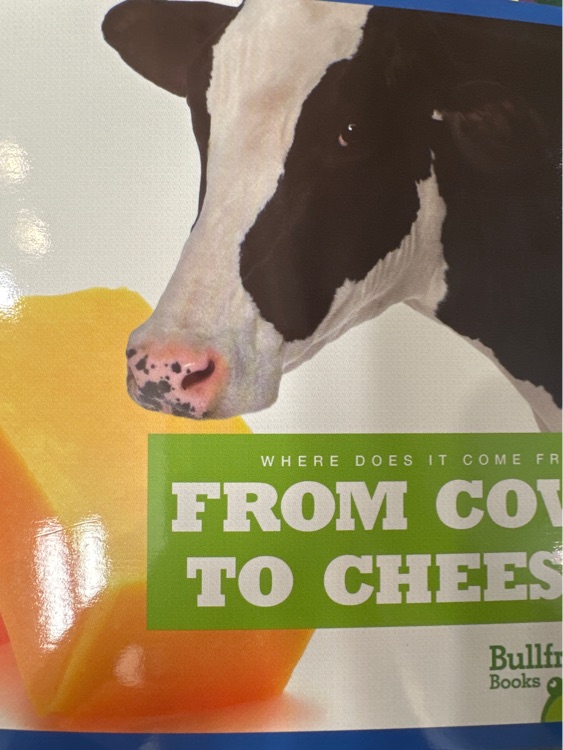 from cow to cheese