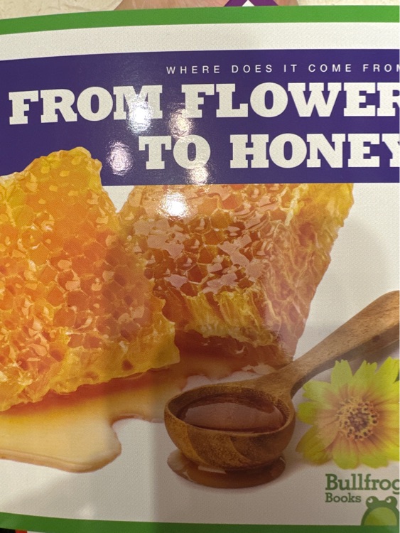 from flowers to honey