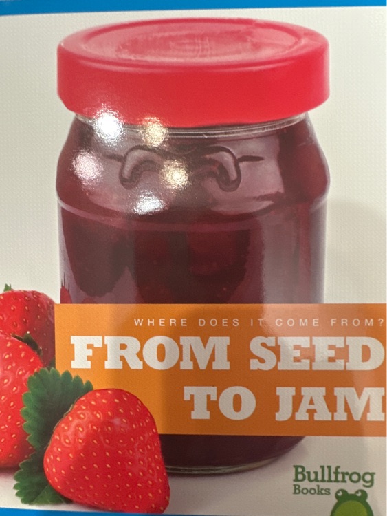 from seed to jam