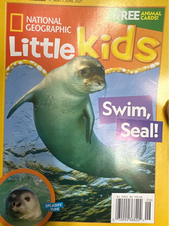 little kid swim seal