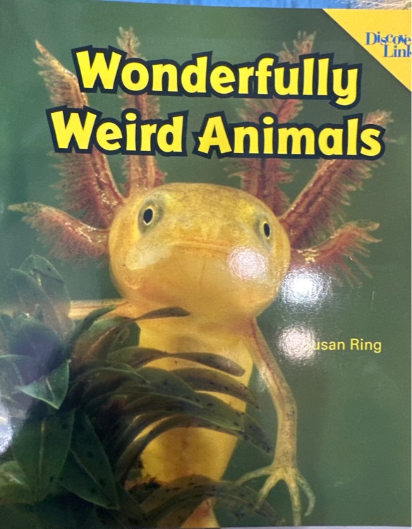 Wonderfully weird animals