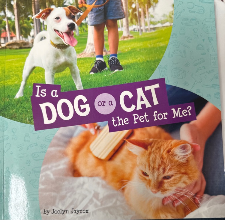 Is a dog or a cat the pet for me?