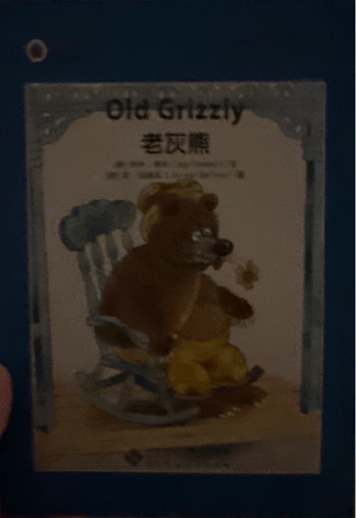 Old grizzly