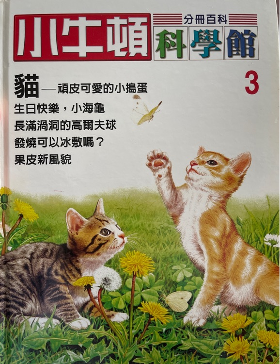 小牛頓 貓