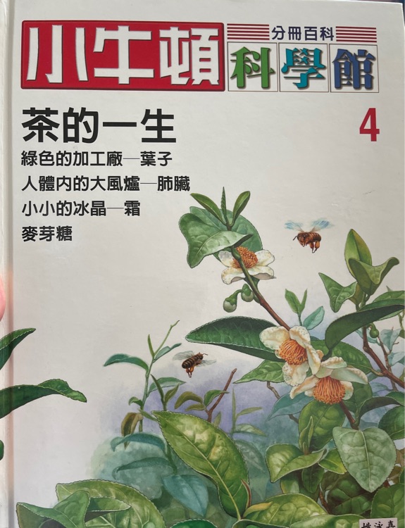 小牛頓 茶的一生