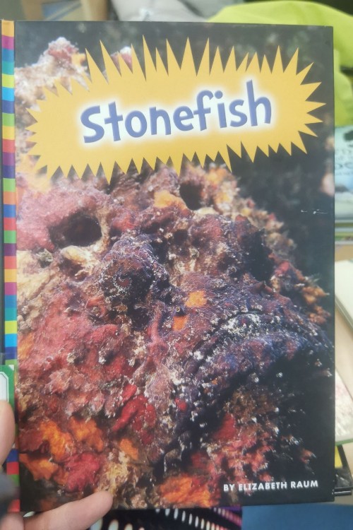 stonefish