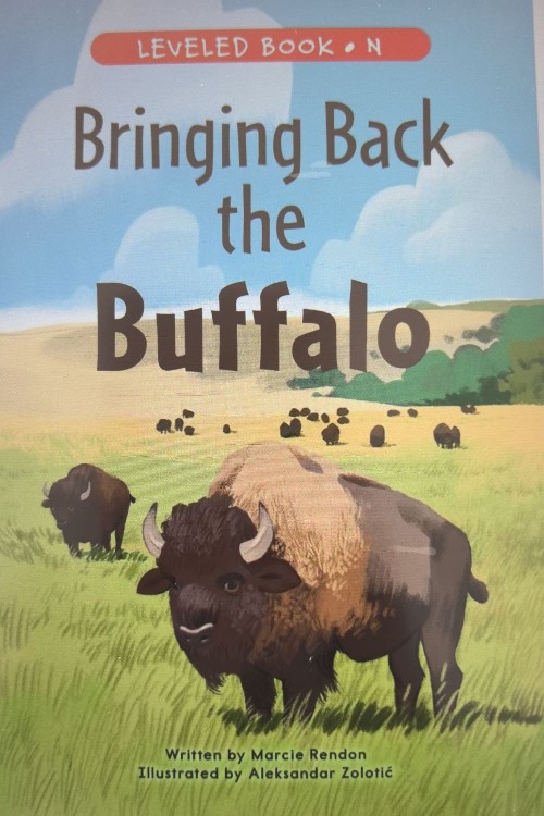 bringing back the buffalo