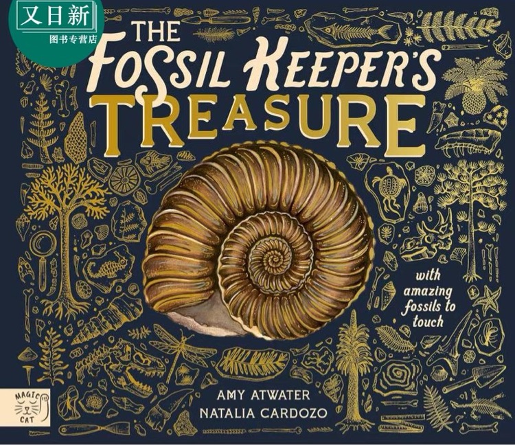 The Fossil Keeper's Treasure