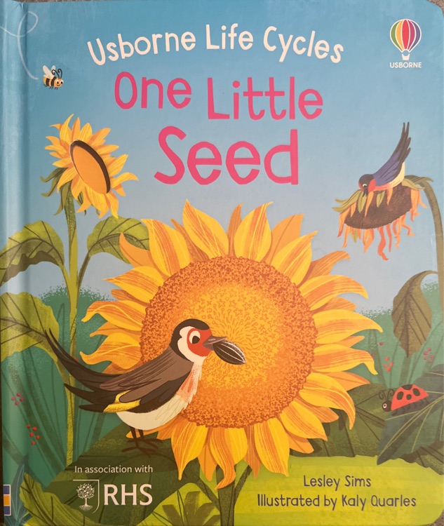 Usborne Life Cycles One Little Seed
