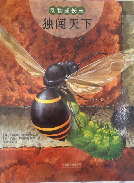 動(dòng)物成長志 獨(dú)闖天下