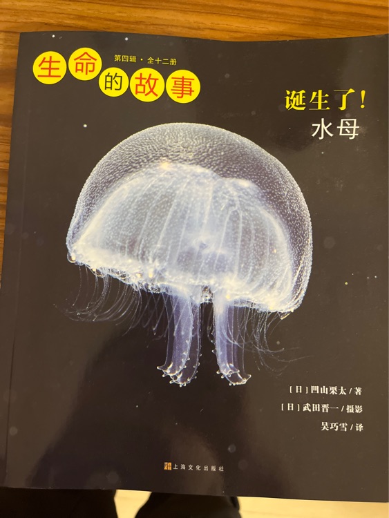 生命的故事誕生了 水母