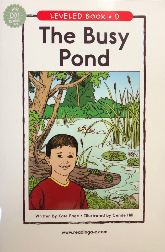 The Busy Pond