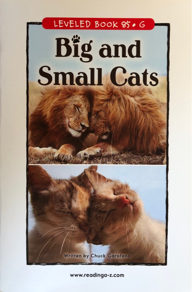 86 Big and Small Cats(RAZ G)