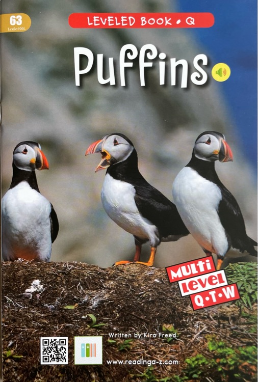 Puffins