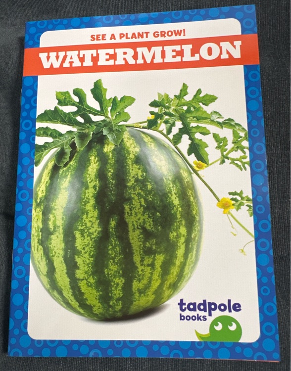 Watermelon