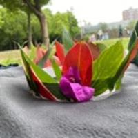 Coco的趣閱世界