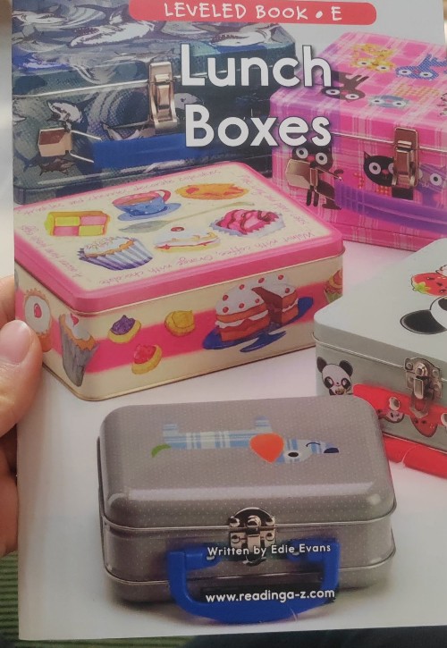 Lunch Boxes (RAZ E)