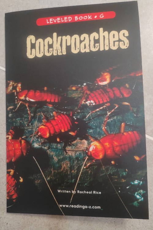 cockroaches