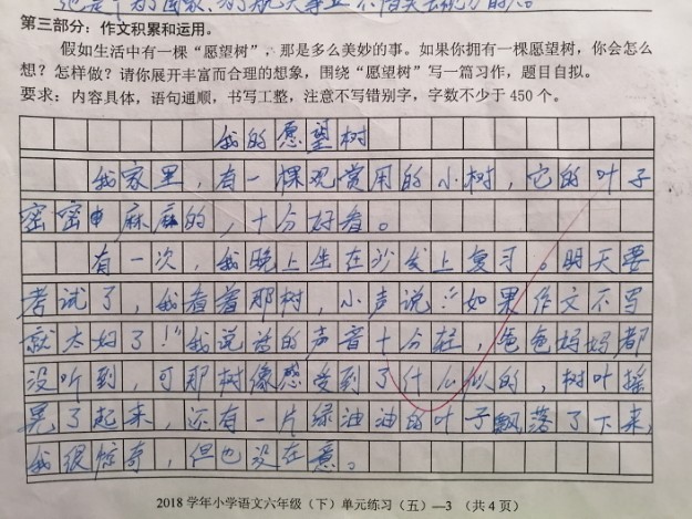 愿望樹