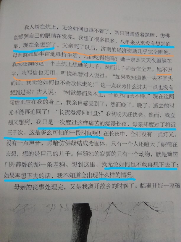 聰穎之人的遲鈍之