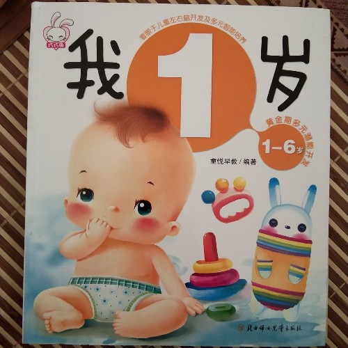 1-6歲黃金期多元潛能開發(fā).我1歲