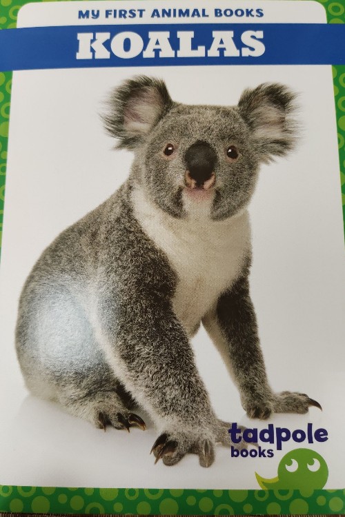 Tadpole 
Koalas