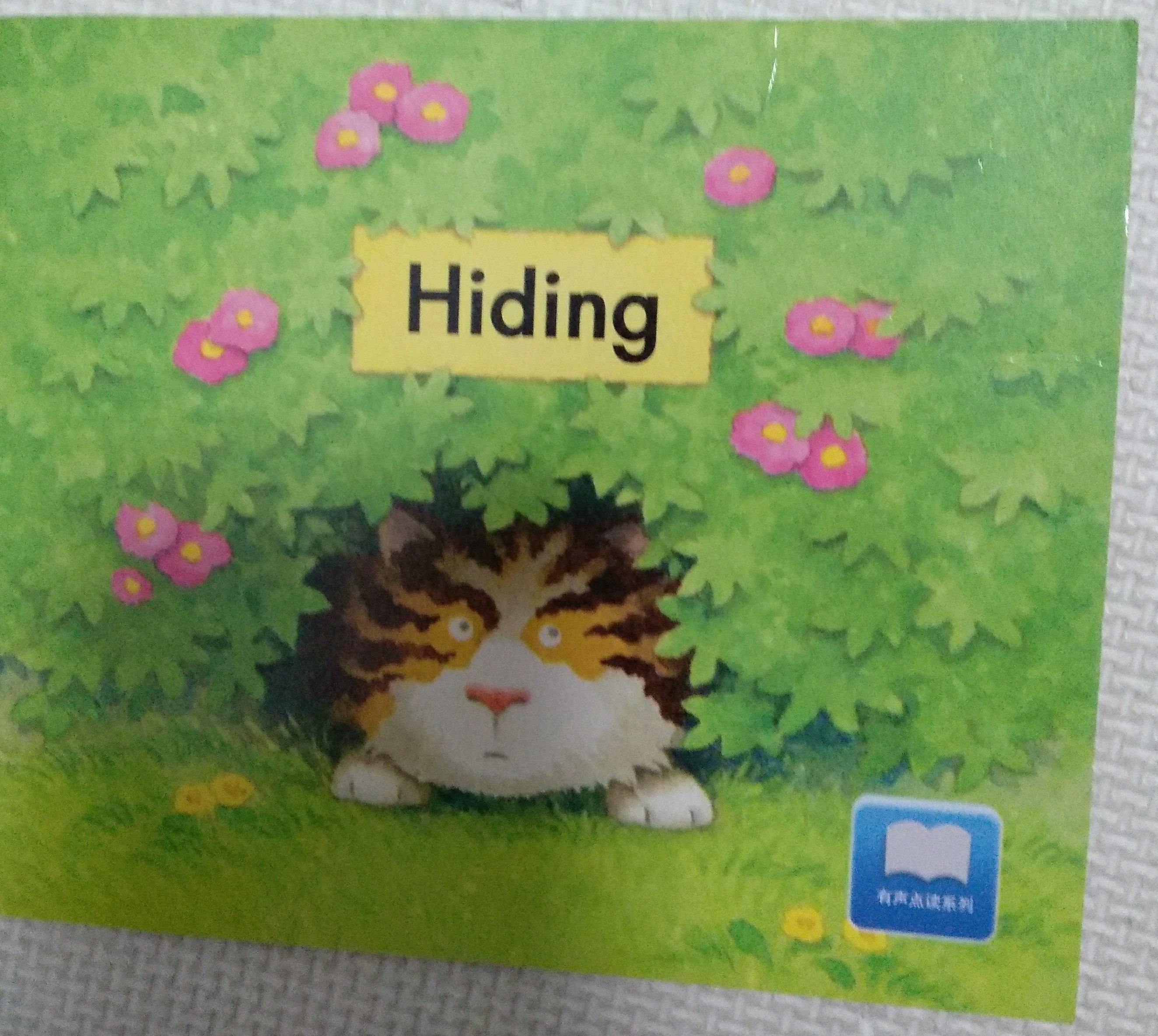 Hiding