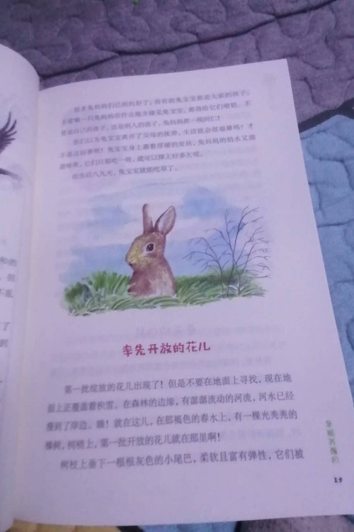 森林報