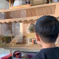糯糯媽277