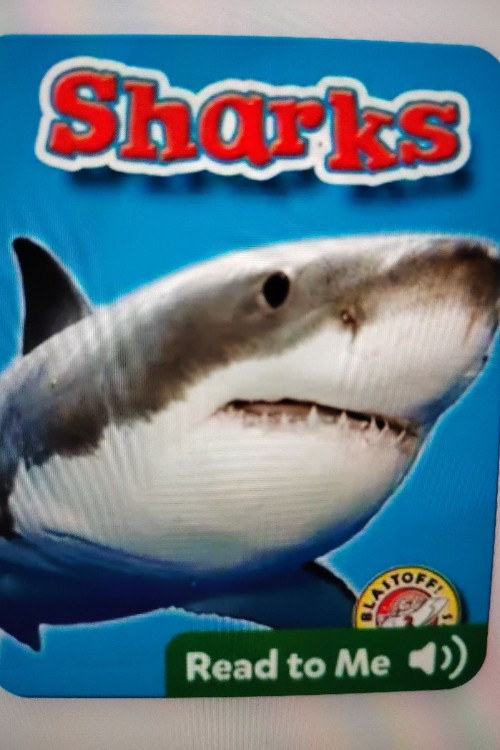 sharks:oceans alive