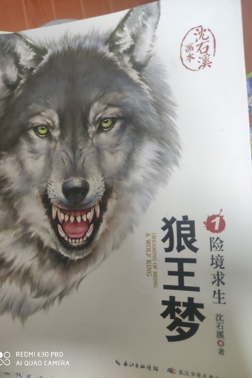 狼王夢(mèng)1險(xiǎn)境求生
