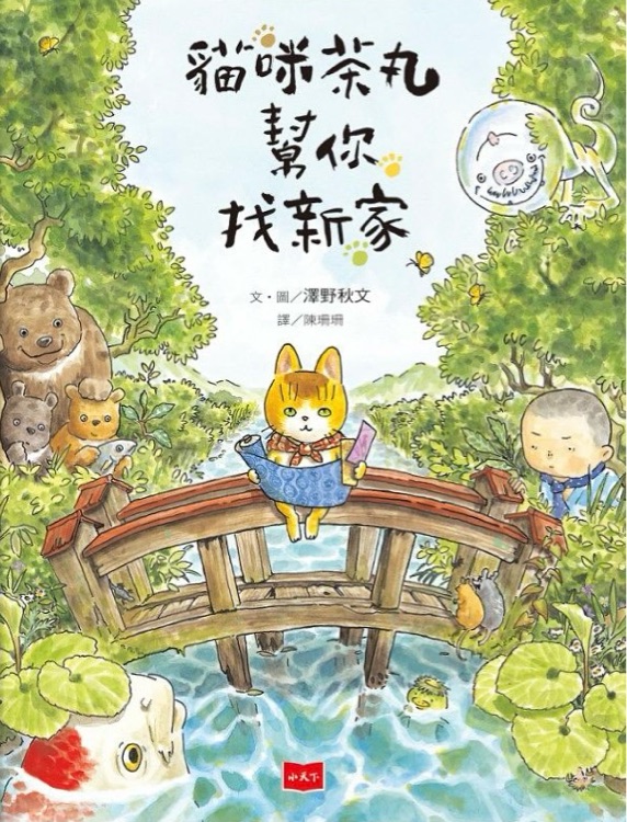 貓咪茶丸幫你找新家