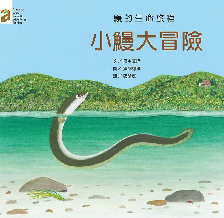 小鰻大冒險