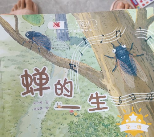 蟬的一生
