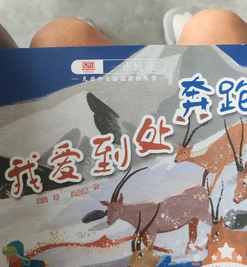 我愛到處奔跑