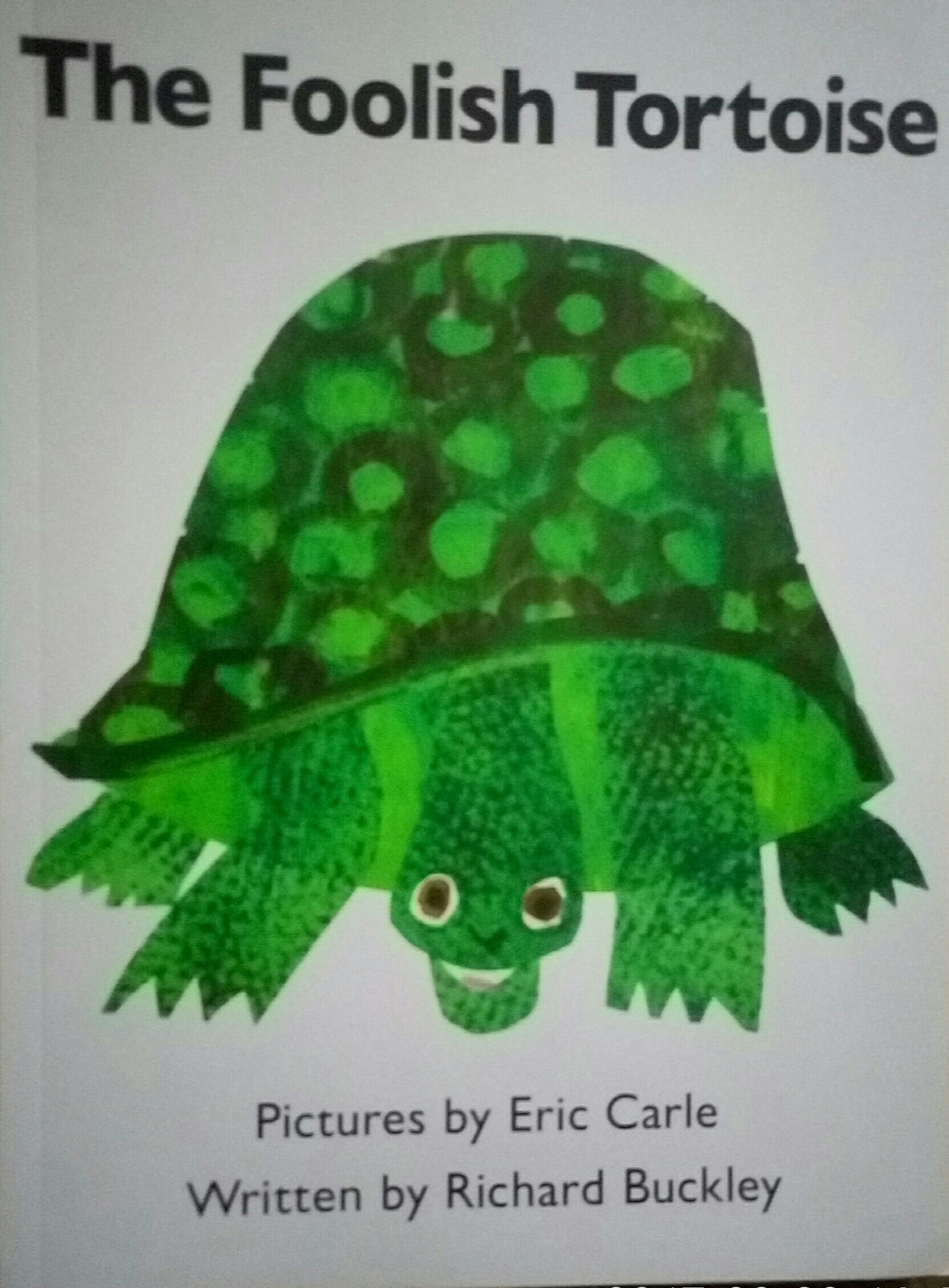 The foolish tortoise