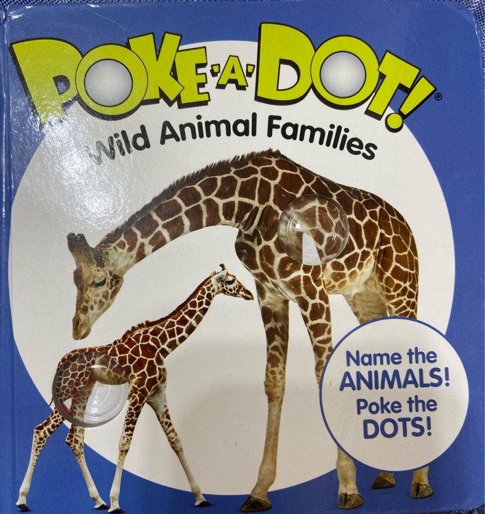 poke a sot Wild Animal Families