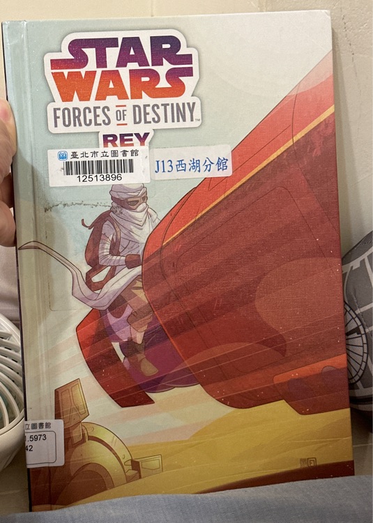 Star Wars forces of destiny Rey