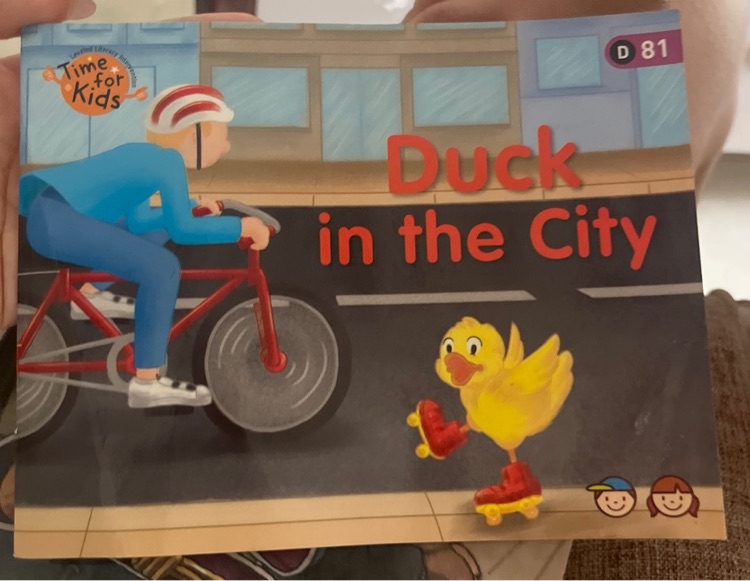 duck in the city