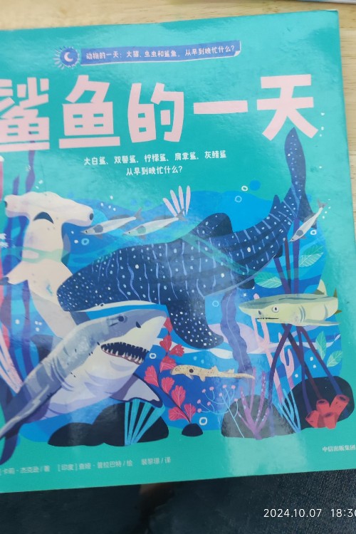 鯊魚的一天