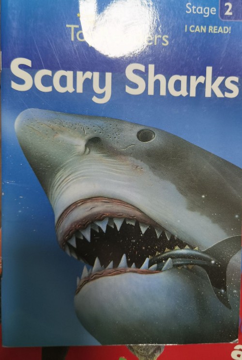 Scary sharks