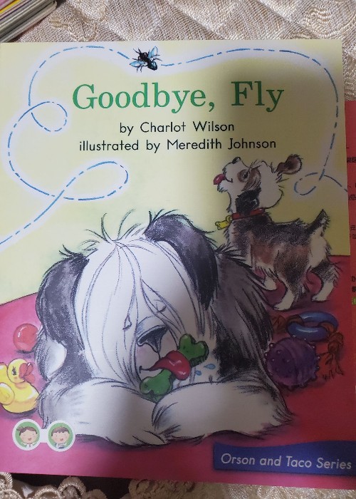 goodbye, fly