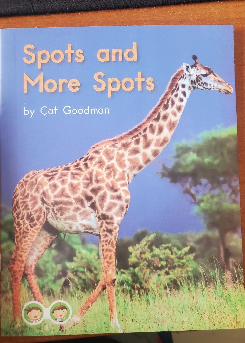 spots and more sports