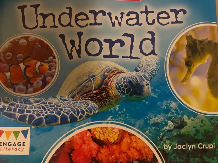 underwater world