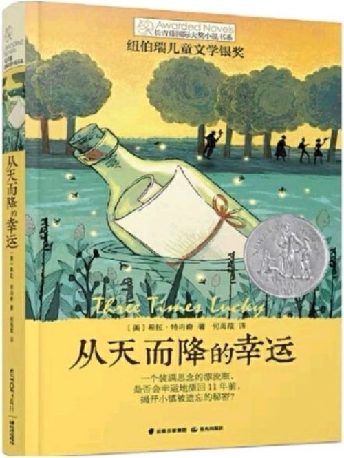 長(zhǎng)青藤國(guó)際大獎(jiǎng)小說(shuō)書(shū)系: 從天而降的幸運(yùn)