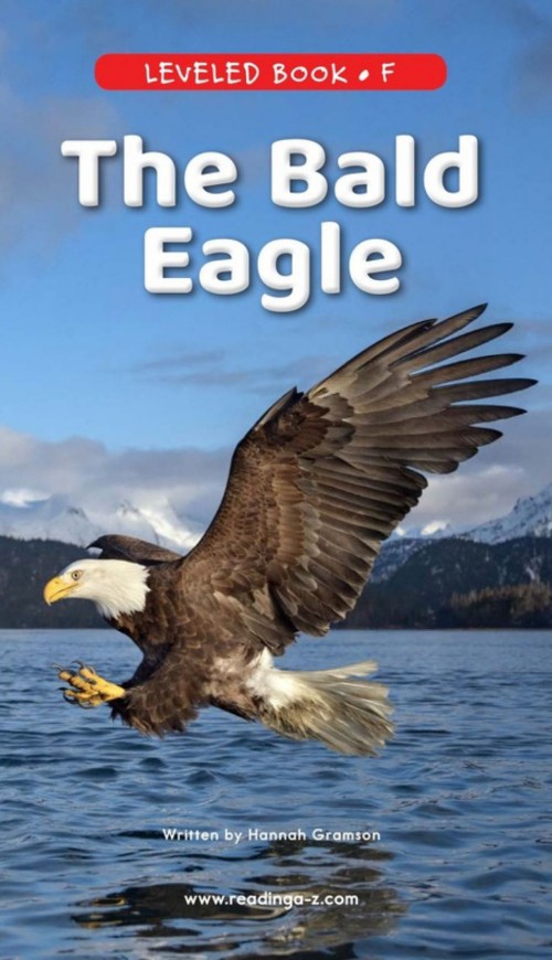 The Bald Eagle