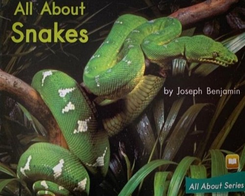 Heinemann G2-30: All About Snakes