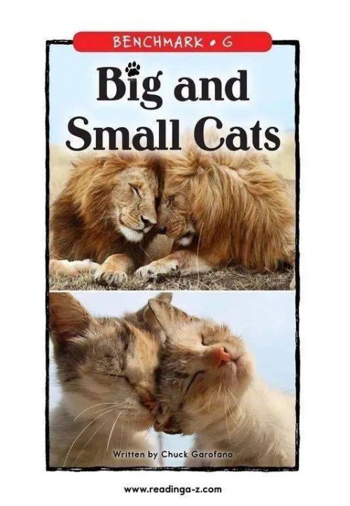 86 Big and Small Cats (RAZ G)