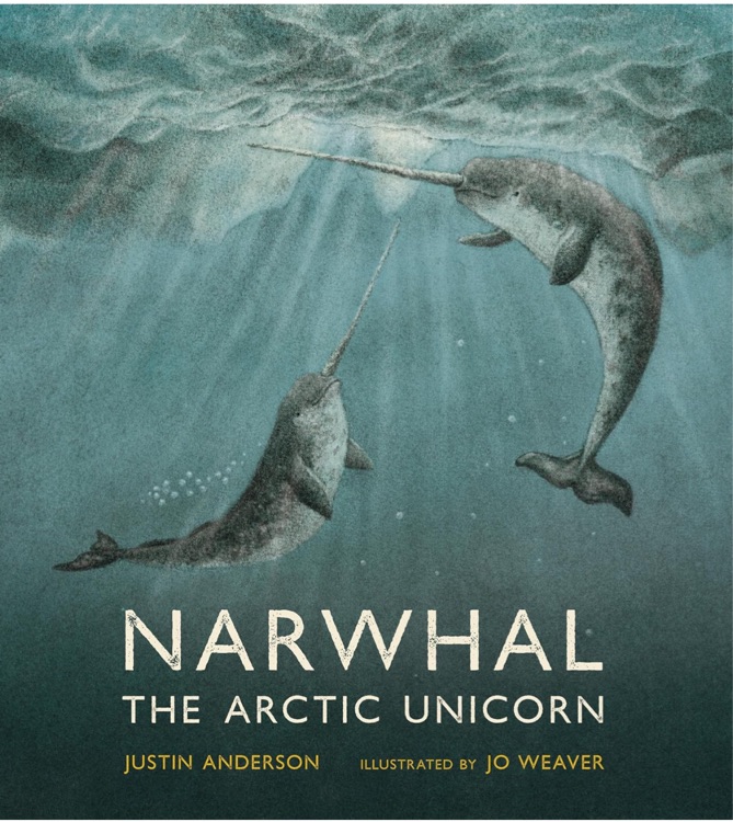 Narwhal: The Arctic Unicorn